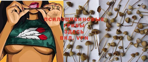 2c-b Медногорск