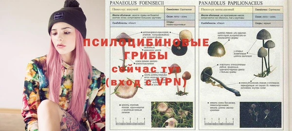 прущие крисы Алзамай