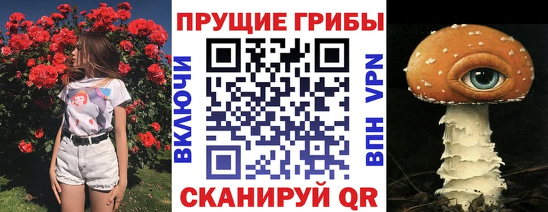 МЕГА маркетплейс Первоуральск Псилоцибиновые грибы мицелий